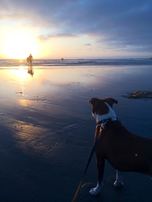 LB waiting for Lars Beach